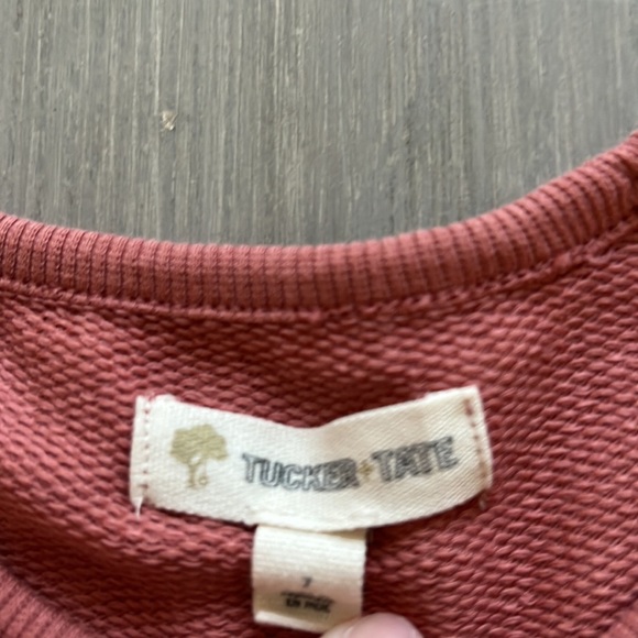 Tucker and Tate Rust Glitter Heart Dress - Picture 3 of 4